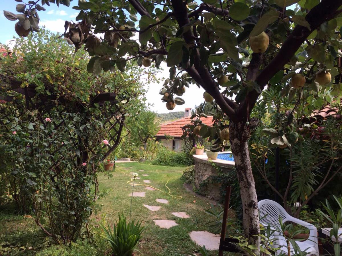 Family Hotel Belvedere Dulgopol Exterior photo