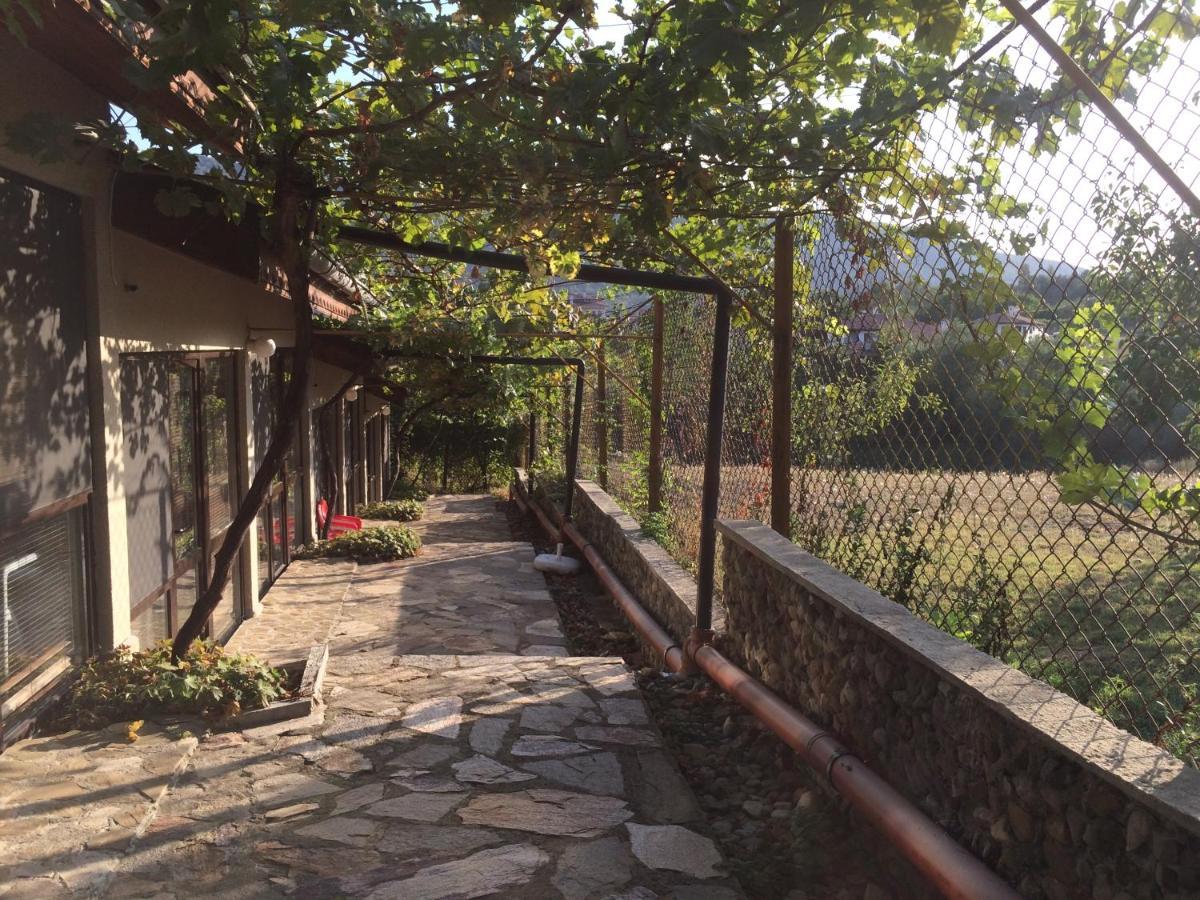 Family Hotel Belvedere Dulgopol Exterior photo